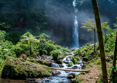 Waterfall in Lush Green Forest