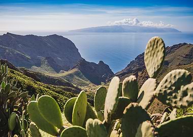 Mountainous landscape with cactus foreground