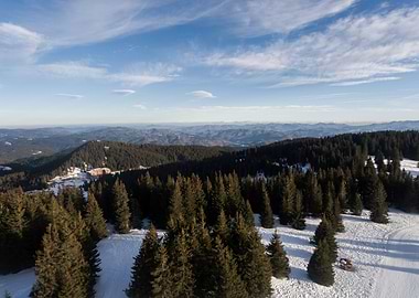 Winter Mountain Landscape with Evergreen Trees