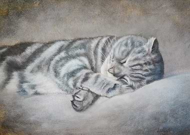 Sleeping Tabby Cat Painting