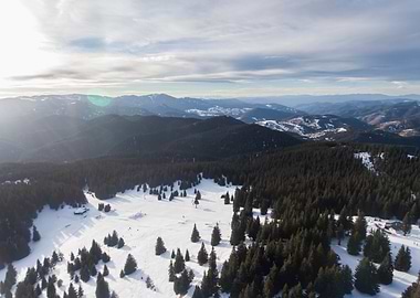 Winter Mountain Landscape with Snow and Trees