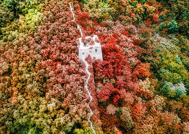 ancient tower amidst autumnal forest