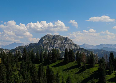 Mountain Landscape with Evergreen Trees