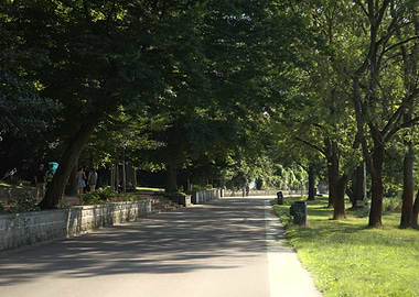 Park Pathway with Trees and People