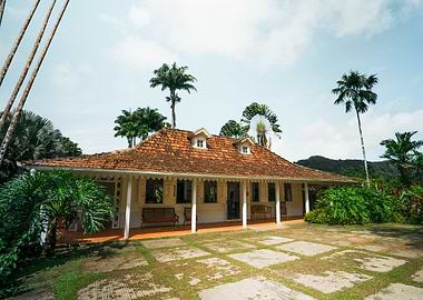 Tropical House with Palm Trees
