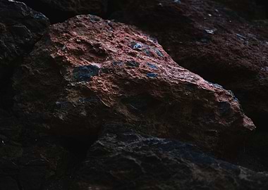 Close-up of textured rock formation