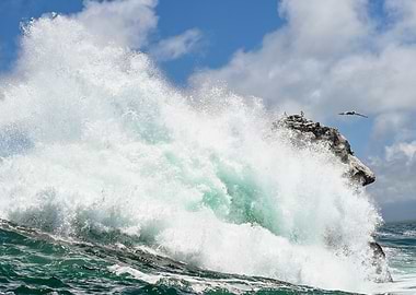 Galapagos 2025 - Islote La Union