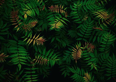 Lush Green and Brown Fern Pattern