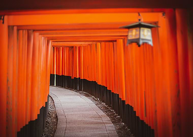 fushimi inari shrine torii gates path