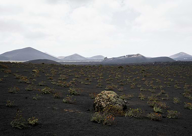 Volcanic Landscape with Sparse Vegetation