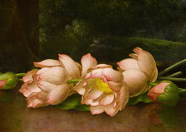 Lotus Flowers Still Life Painting