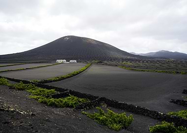 Lanzarote vineyard landscape with volcanic soil