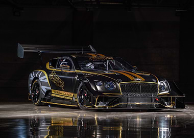 Black and Gold Bentley Race Car