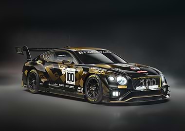Bentley Continental GT3 Race Car