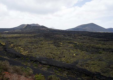 Volcanic Landscape with Mossy Lava Field