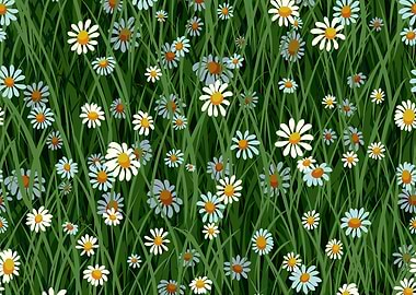 Daisies in the grass illustration