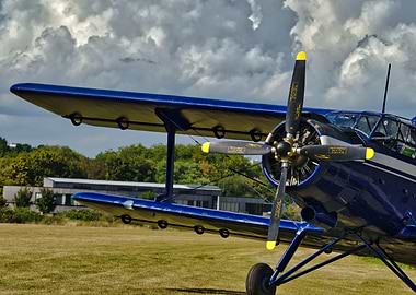 Blue Antonov AN2 on Grassy Field