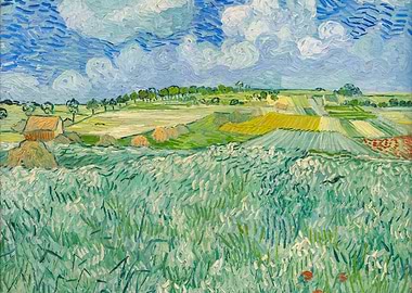 Wheat Fields with the Alpilles