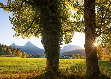 Mountain Watzmann with Trees