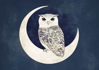 Owl Perched on Crescent Moon