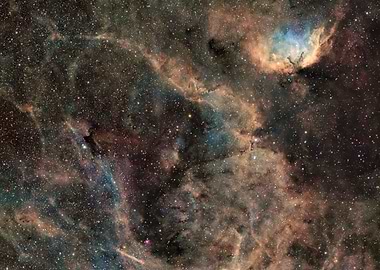 The Tulip - Detailed Nebula and Starfield Image