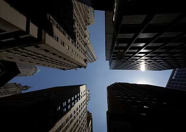 Awesome Skyscrapers against a Blue Sky in Downtown