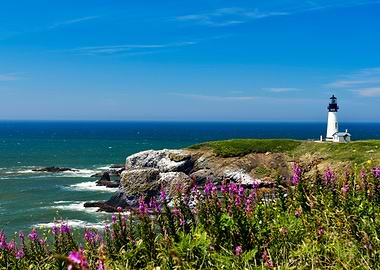 Friends of Yaquina Lighthouse
