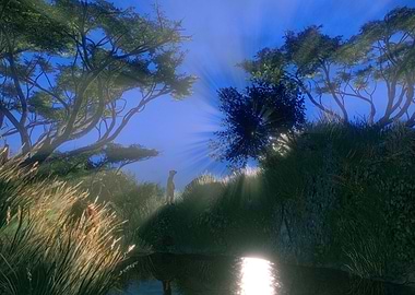 Meerkat in a Sunny African Landscape