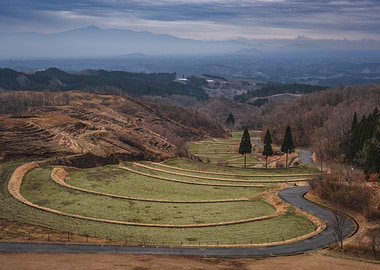 Rice Fields in Kyushu, Japan
