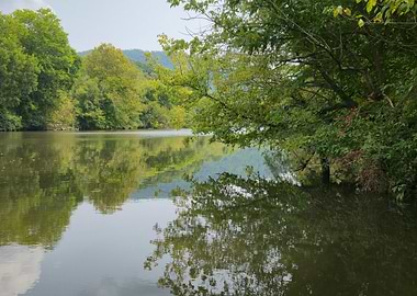 Reflection on the River