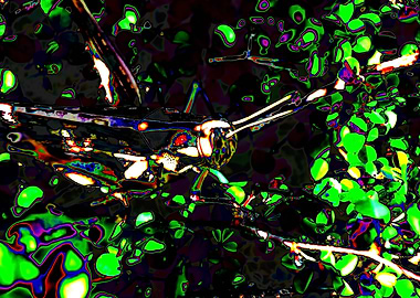 Grasshopper in Psychedelic Green Foliage