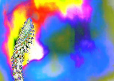 Abstract Floral with Vibrant Colors