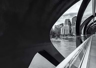 Black and White Calgary Cityscape View