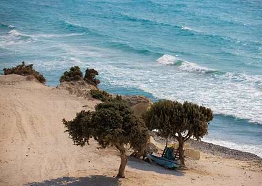 Coastal Landscape with Trees and Waves