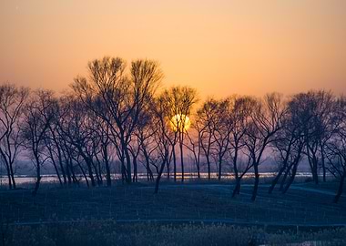 Golden Hour Serenity - Orange and Blue Winter Sunset Landscape