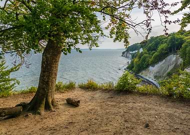 Panoramic view of the chalk cliffs in Jasmund National Park on Rgen with Baltic Sea