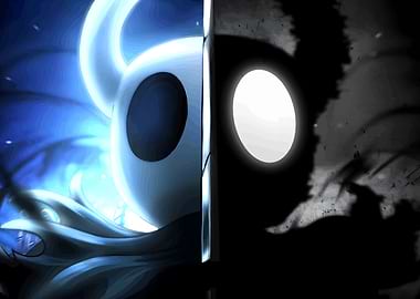 Hollow Knight Duality