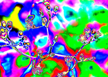 Psychedelic Floral Abstract