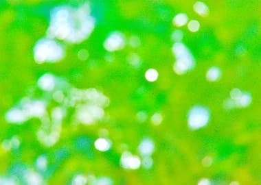 Abstract Green Bokeh Background