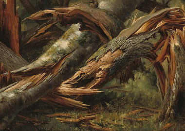 Fallen Trees in Forest Painting