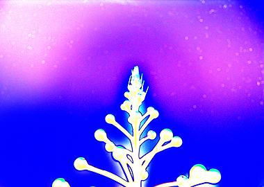 Abstract Floral Design on Colorful Background