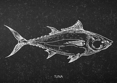 Tuna Fish Chalkboard Illustration