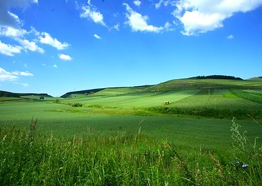 Pastoral Paradise - Scenic View of Lush Farmland and Rolling Hills