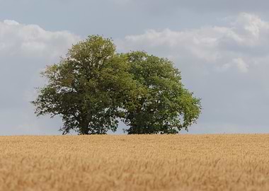 Standing apart but always together