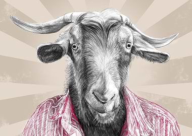 Goat in a Shirt Illustration