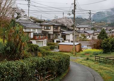 Japanese Village with Cherry Blossoms