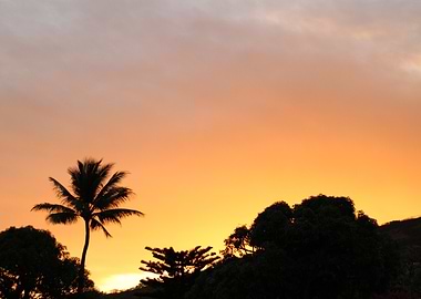Hawaii Sunset Silhouette