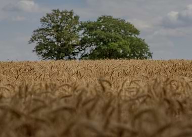 Two sentries to keep guard