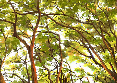 Sunlit Forest Canopy Painting