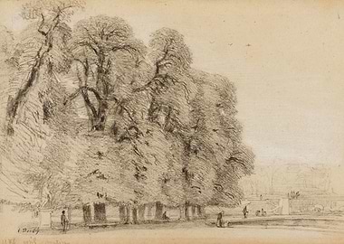 Pencil Sketch of Trees and Figures